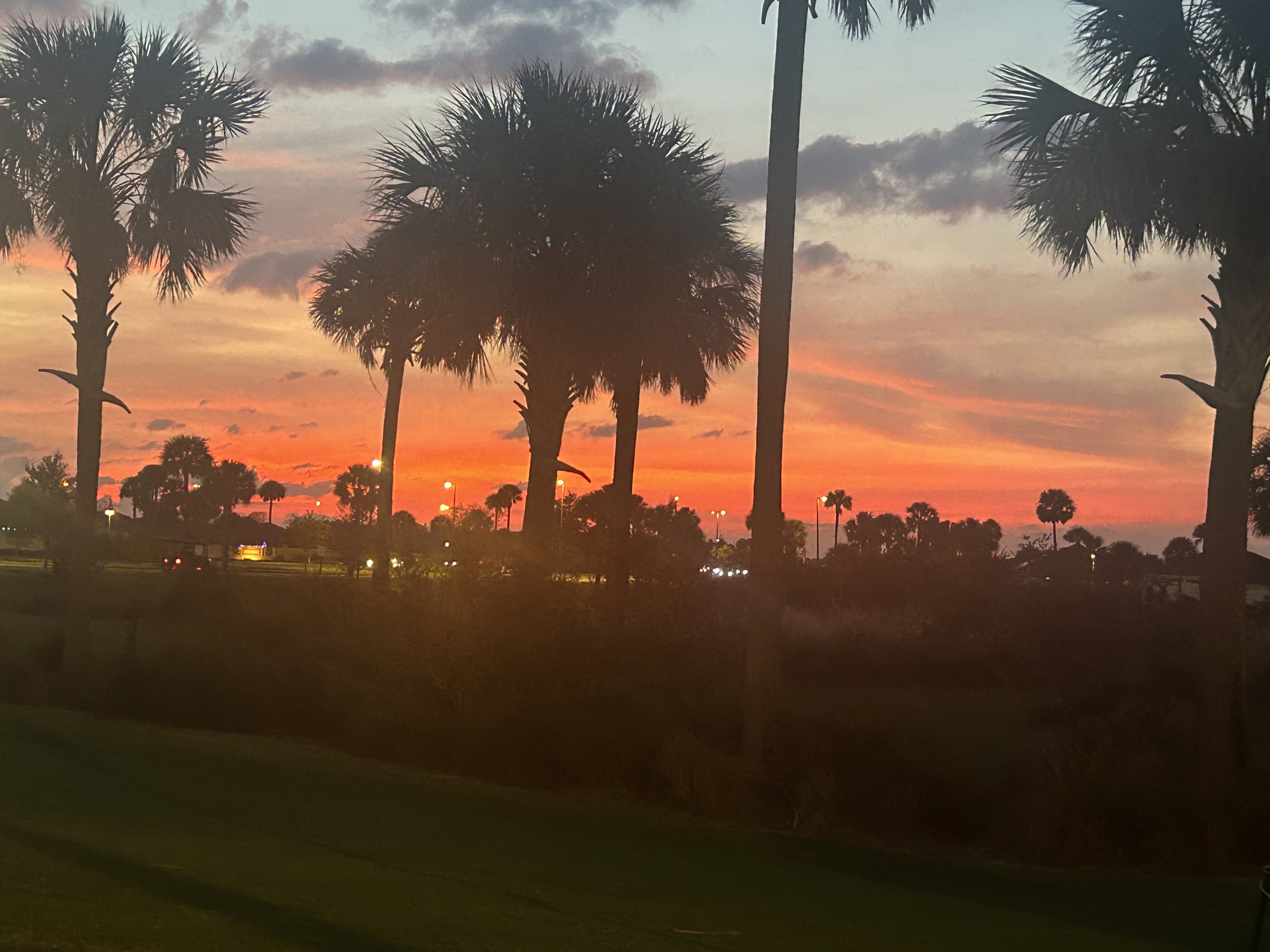 Beaches To Go Travel logo